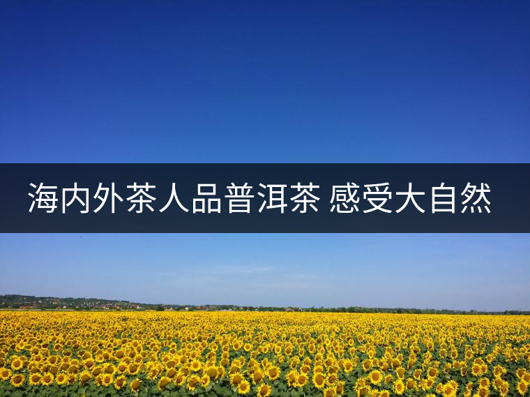 海內外茶人品普洱茶 感受大自然恩賜