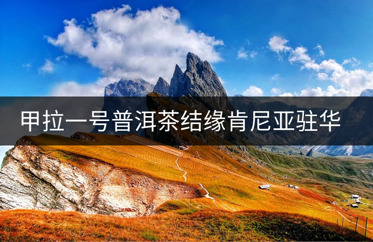 甲拉一號普洱茶結緣肯尼亞駐華專員