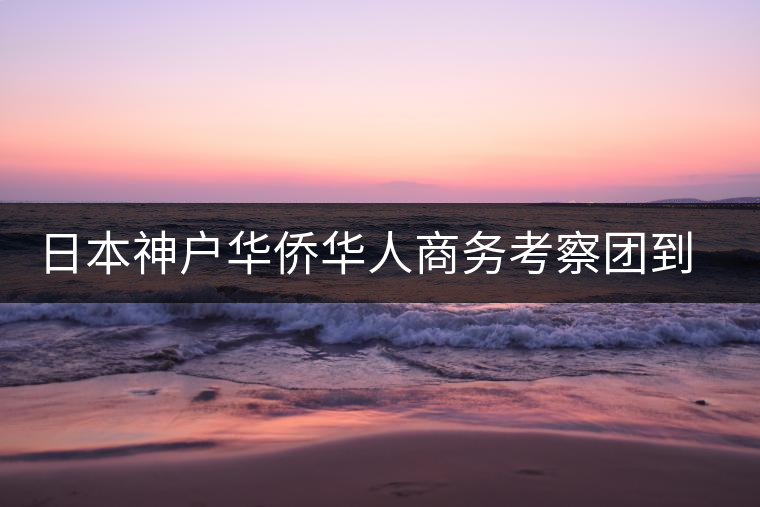 日本神戶華僑華人商務考察團到普洱市考察