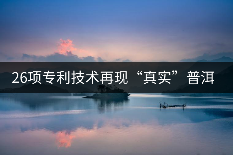 26項專利技術(shù)再現(xiàn)“真實”普洱茶 26項專利技術(shù)再現(xiàn)“真實”普洱茶