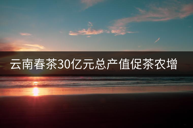 云南春茶30億元總產值促茶農增收