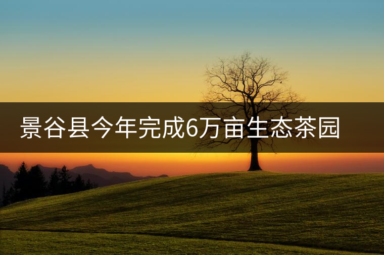 景谷縣今年完成6萬(wàn)畝生態(tài)茶園建設(shè)