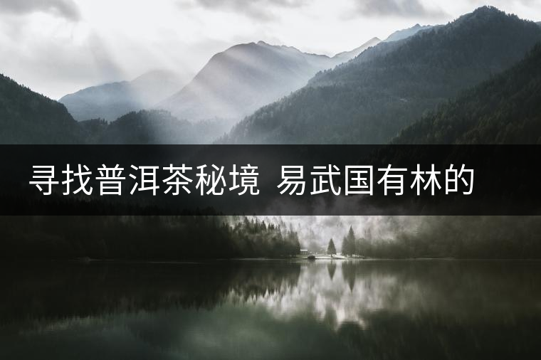 尋找普洱茶秘境 易武國有林的追逐戰(zhàn) 尋找普洱茶秘境 易武國有林的追逐戰(zhàn)
