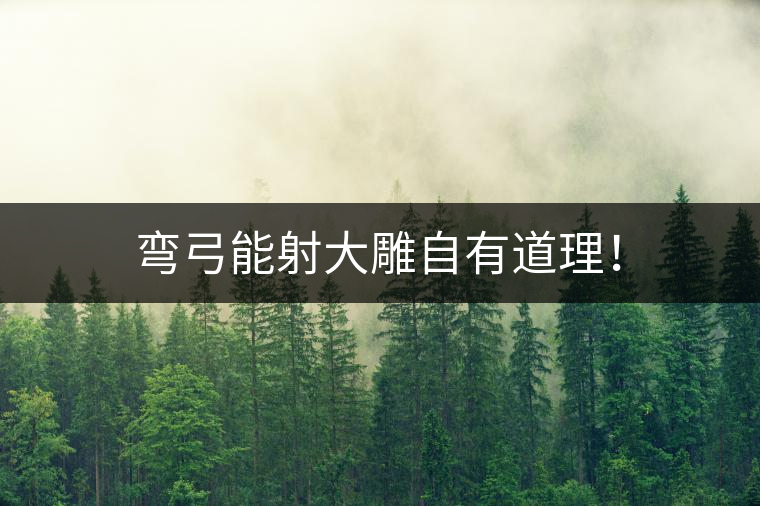 彎弓能射大雕自有道理! 彎弓能射大雕自有道理!