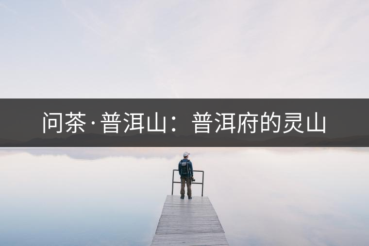 問茶·普洱山:普洱府的靈山 問茶·普洱山:普洱府的靈山