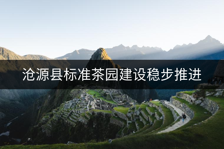 滄源縣標準茶園建設(shè)穩(wěn)步推進