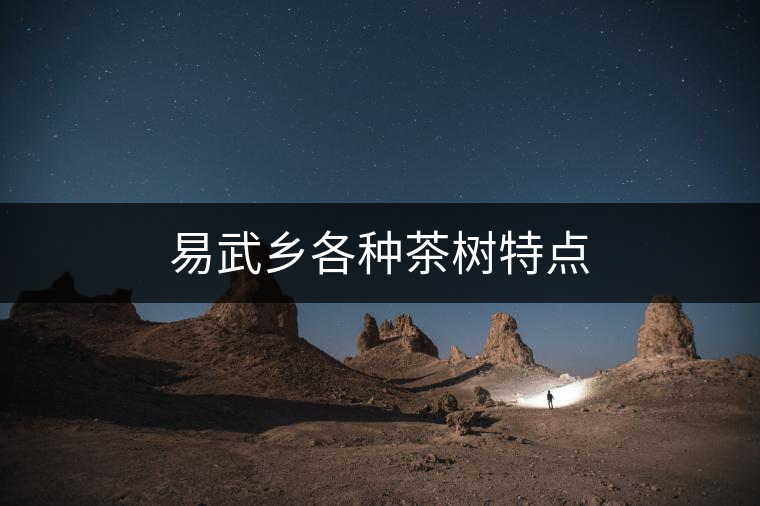 易武鄉各種茶樹特點