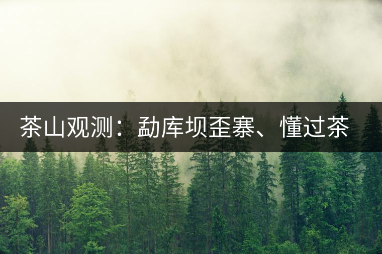 茶山觀測：勐庫壩歪寨、懂過茶山、大戶寨等茶山的生態(tài)指數(shù)
