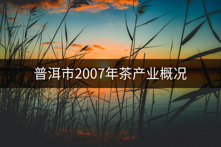 普洱市2007年茶產業概況