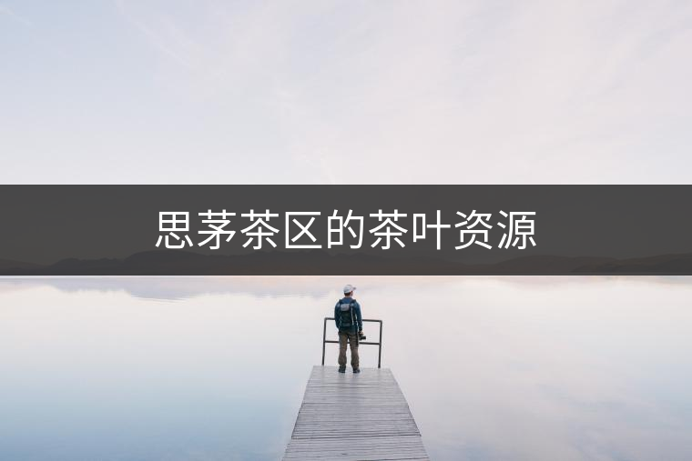 思茅茶區的茶葉資源