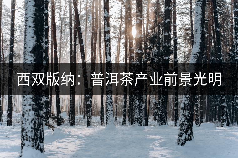 西雙版納：普洱茶產業前景光明