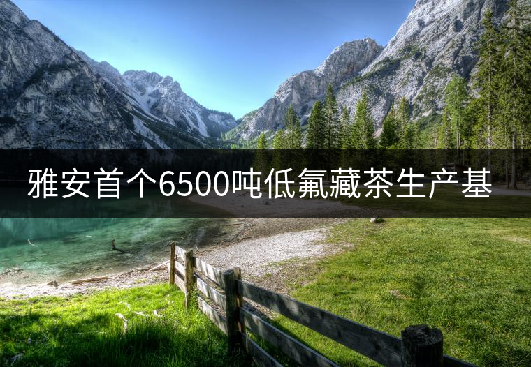 雅安首個(gè)6500噸低氟藏茶生產(chǎn)基地啟動(dòng)
