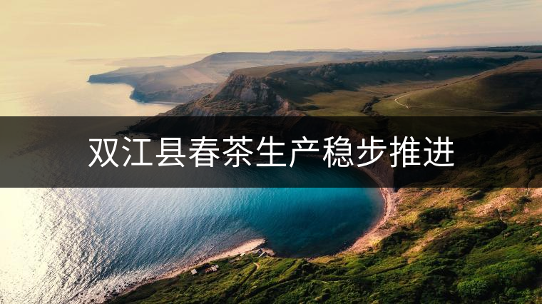 雙江縣春茶生產(chǎn)穩(wěn)步推進(jìn) 雙江縣春茶生產(chǎn)穩(wěn)步推進(jìn)