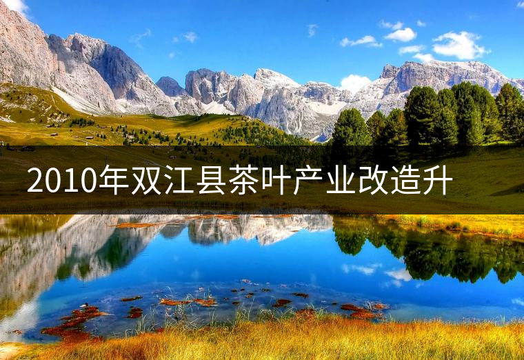 2010年雙江縣茶葉產業改造升級步伐加快 2010年雙江縣茶葉產業改造升級步伐加快