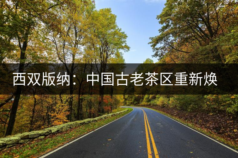 西雙版納：中國古老茶區重新煥發活力