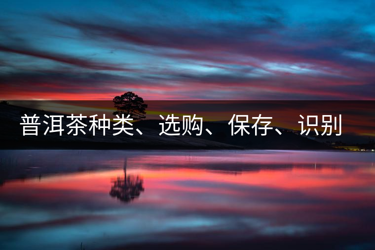 普洱茶種類、選購、保存、識別、沖泡