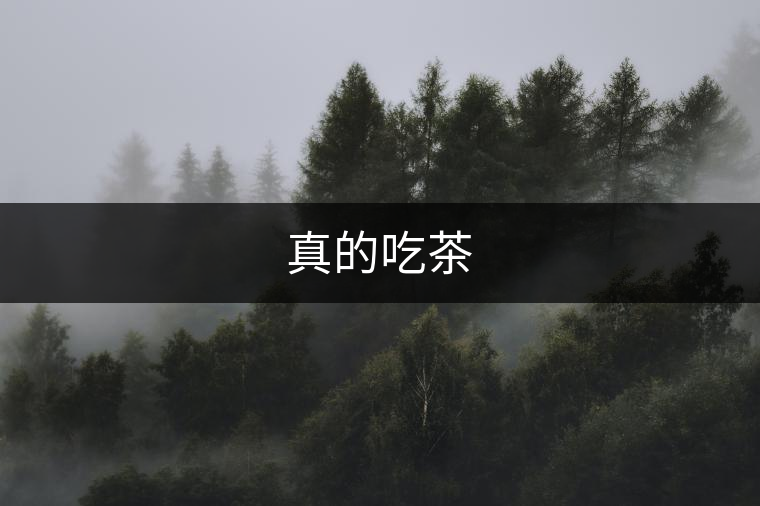 真的吃茶 真的吃茶