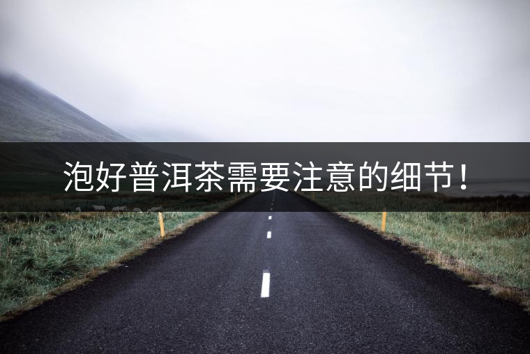 泡好普洱茶需要注意的細節！