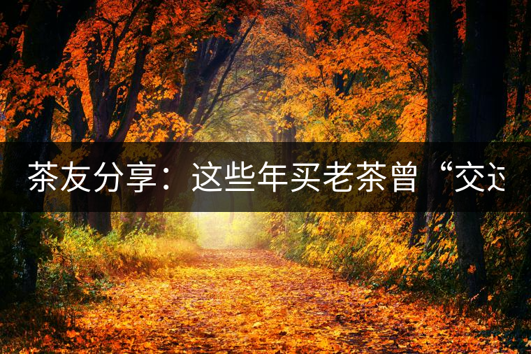 茶友分享:這些年買老茶曾“交過的學費” 茶友分享:這些年買老茶曾“交過的學費”