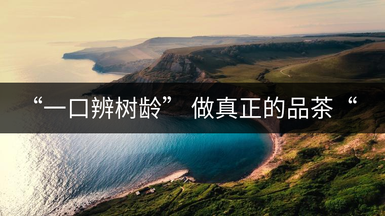 “一口辨樹齡” 做真正的品茶“大師”！