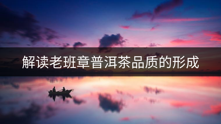 解讀老班章普洱茶品質的形成