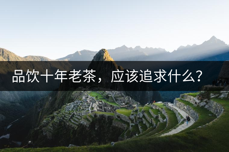品飲十年老茶，應該追求什么？滋味還是故事？
