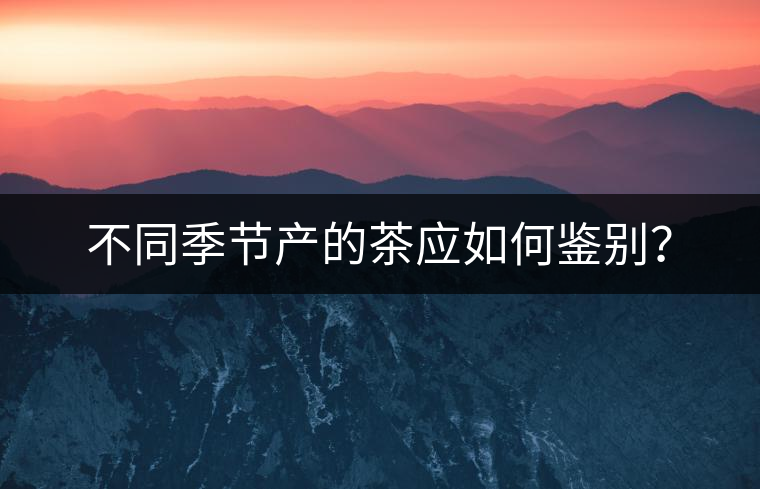 不同季節(jié)產(chǎn)的茶應(yīng)如何鑒別？