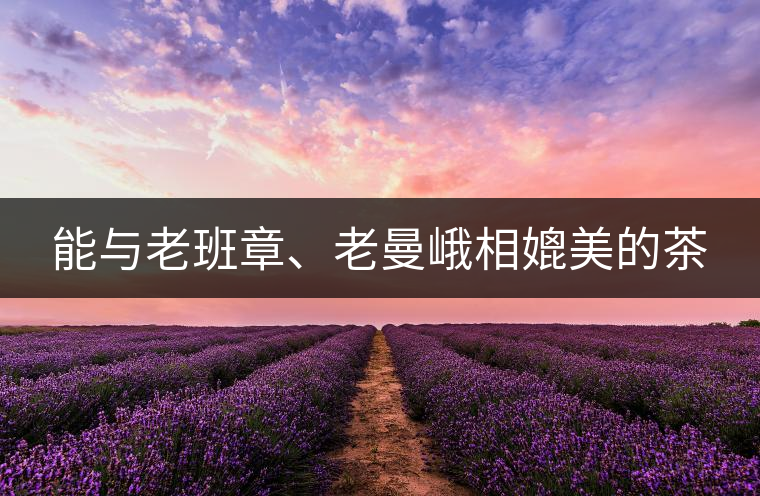 能與老班章、老曼峨相媲美的茶 能與老班章、老曼峨相媲美的茶