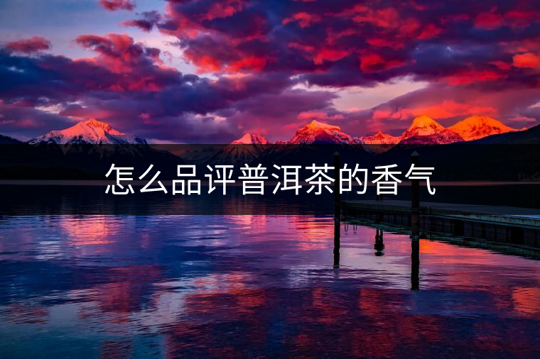 怎么品評普洱茶的香氣