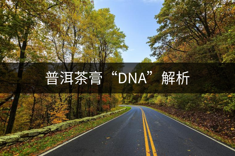 普洱茶膏“DNA”解析 普洱茶膏“DNA”解析