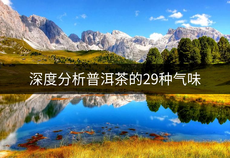 深度分析普洱茶的29種氣味 深度分析普洱茶的29種氣味