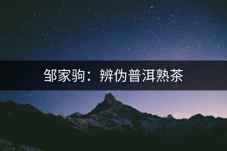 鄒家駒：辨偽普洱熟茶