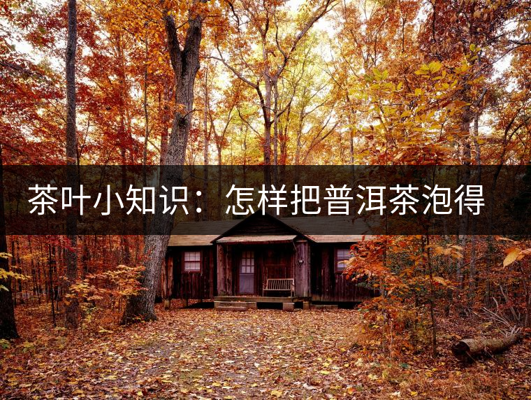 茶葉小知識：怎樣把普洱茶泡得更有味