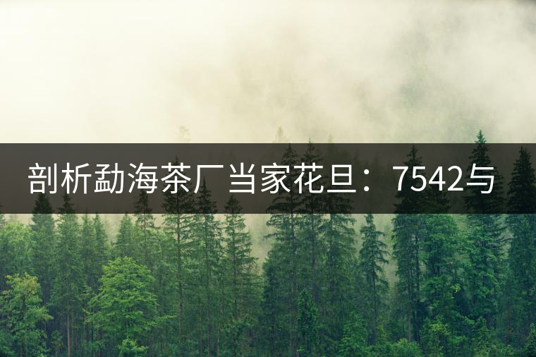 剖析勐海茶廠當(dāng)家花旦:7542與7572的市場(chǎng)價(jià)值 剖析勐海茶廠當(dāng)家花旦:7542與7572的市場(chǎng)價(jià)值