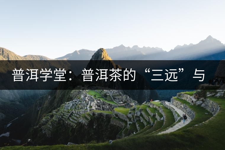 普洱學堂：普洱茶的“三遠”與“三厚”