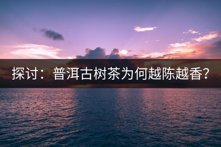 探討:普洱古樹茶為何越陳越香? 探討:普洱古樹茶為何越陳越香?