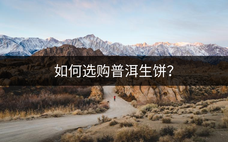 如何選購普洱生餅？