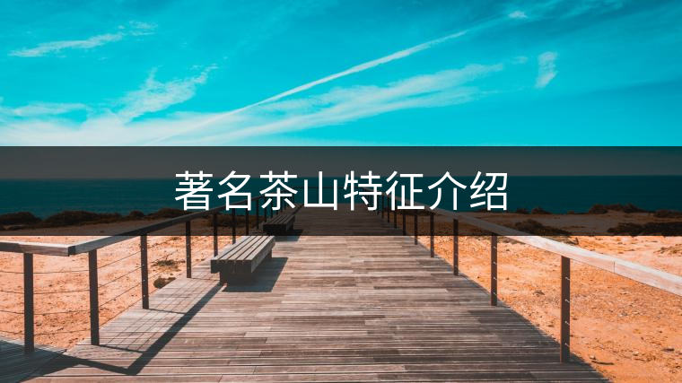 著名茶山特征介紹