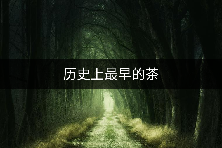 歷史上最早的茶 歷史上最早的茶