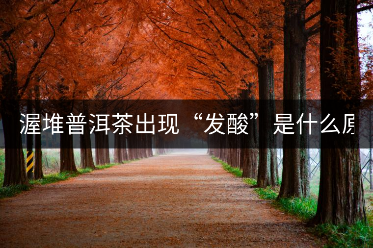 渥堆普洱茶出現(xiàn)“發(fā)酸”是什么原因？