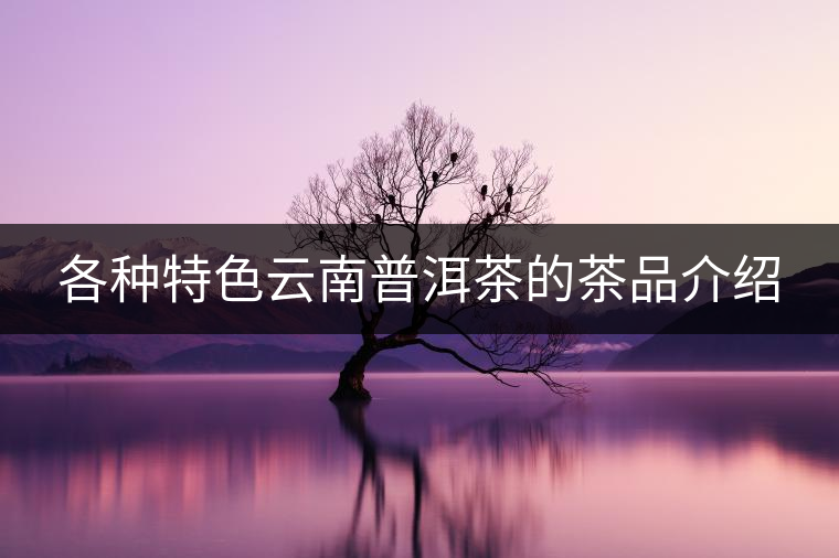 各種特色云南普洱茶的茶品介紹