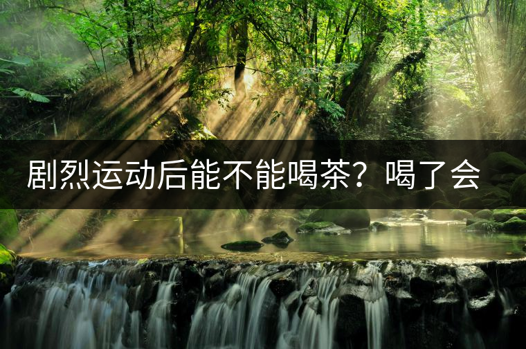 劇烈運動后能不能喝茶?喝了會有什么不適? 劇烈運動后能不能喝茶?喝了會有什么不適?