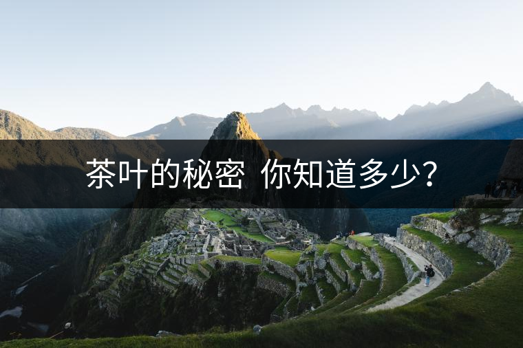 茶葉的秘密 你知道多少? 茶葉的秘密 你知道多少?
