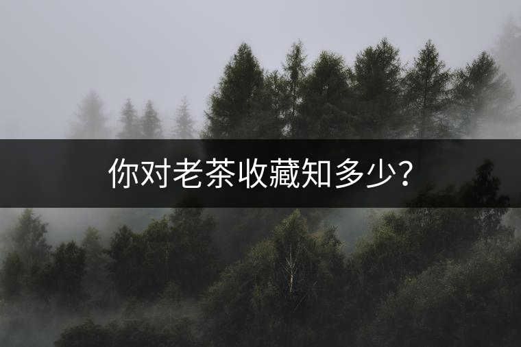 你對老茶收藏知多少? 你對老茶收藏知多少?