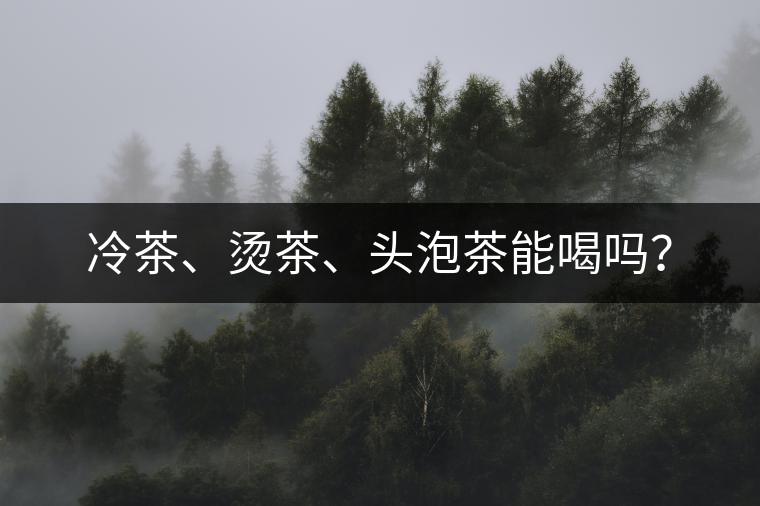 冷茶、燙茶、頭泡茶能喝嗎？
