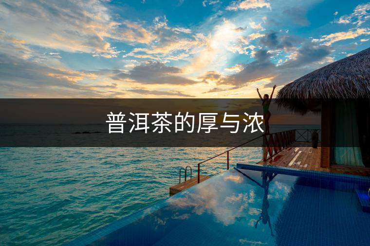 普洱茶的厚與濃 普洱茶的厚與濃