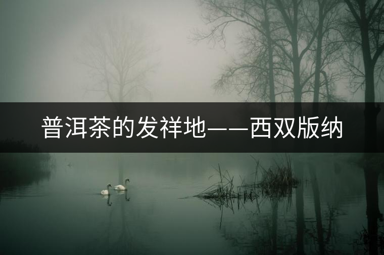 普洱茶的發祥地——西雙版納 普洱茶的發祥地——西雙版納