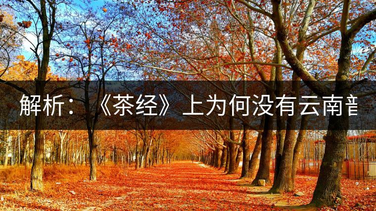 解析：《茶經》上為何沒有云南普洱茶 ？
