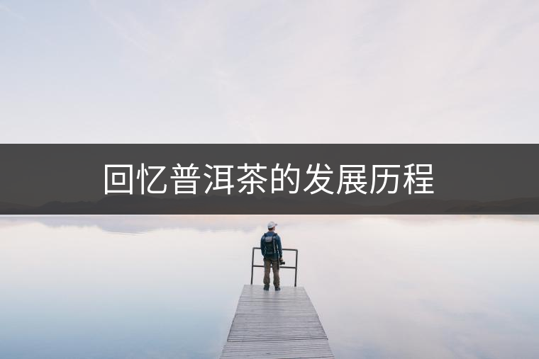 回憶普洱茶的發展歷程 回憶普洱茶的發展歷程