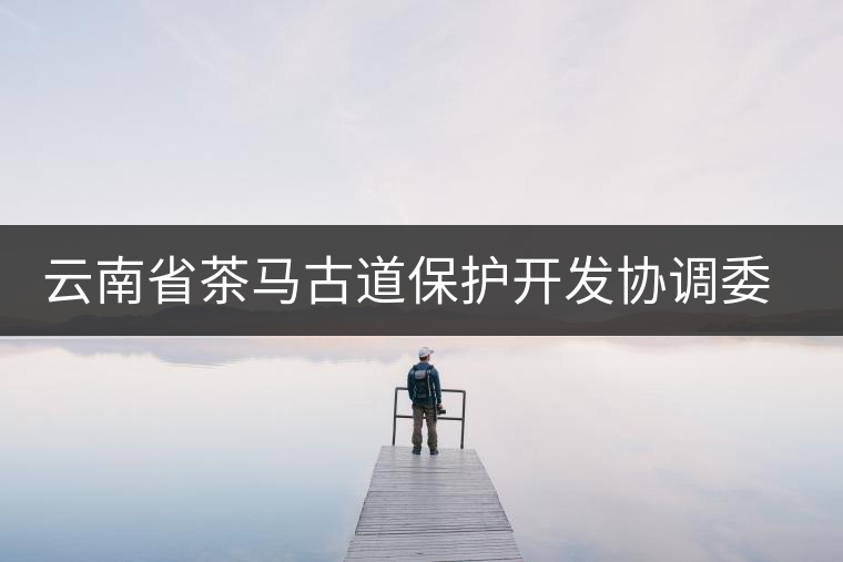 云南省茶馬古道保護開發協調委員會成立 云南省茶馬古道保護開發協調委員會成立